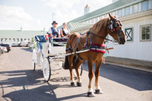 horsedrawn carraige