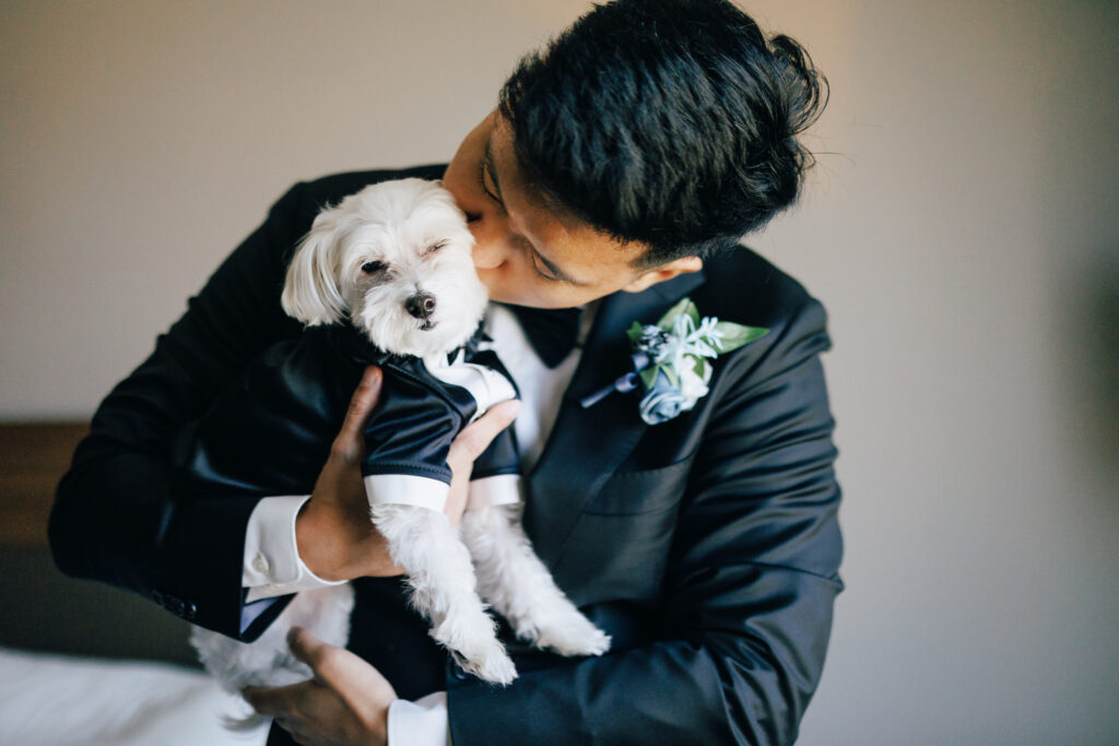 Groom kisses white small dog on wedding day