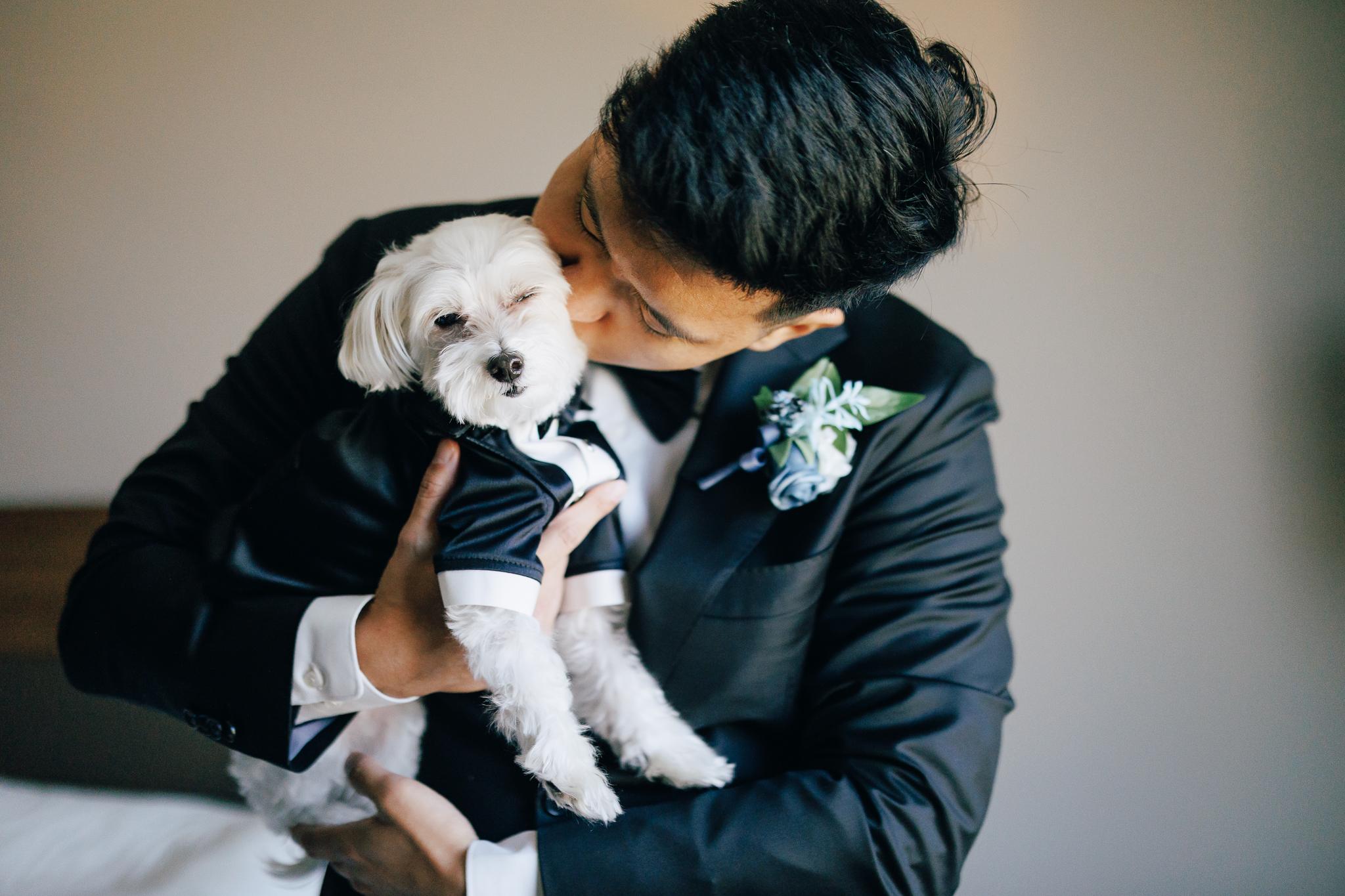 Groom kisses white small dog on wedding day